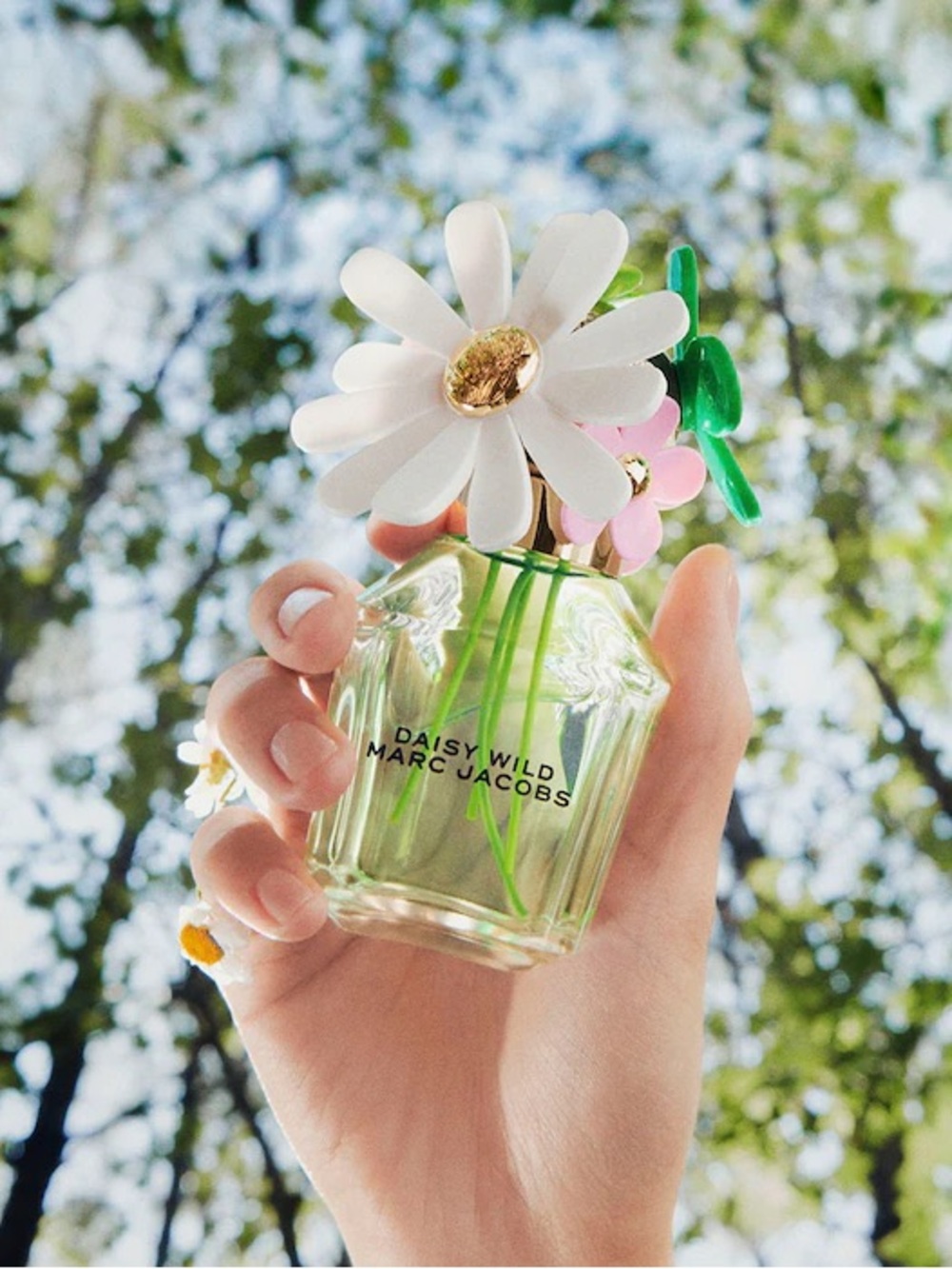 Marc Jacobs Daisy Wild EMPTY Bottle